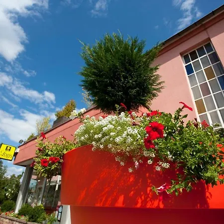 Logis Restaurant La Palette Hotell Wettolsheim