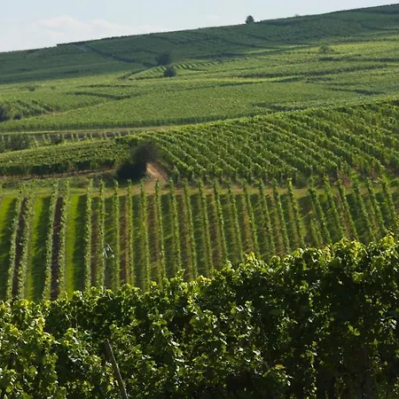 Hotel Restaurant Logis La Palette